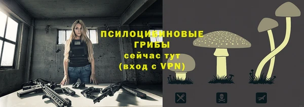 a pvp Краснотурьинск