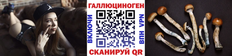 Купить закладки  Гулькевичи  Галлюциногенные грибы Psilocybe 